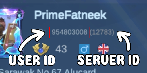 mobile legend bang bang how to get uid